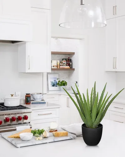 Vista 6 de GnFlus Plantas suculentas falsas de aloe vera de 13 pulgadas, suculentas artificiales grandes con maceta negra, planta de aloe sintético en maceta