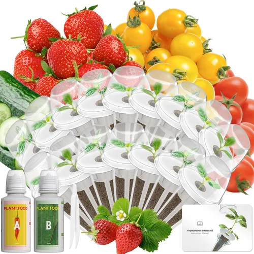 Vista 12 de Hydroponics - Vaina de semillas con albahaca genovesa y albahaca morada, kit completo de 8 cápsulas con esponja, canasta, cúpula, etiqueta