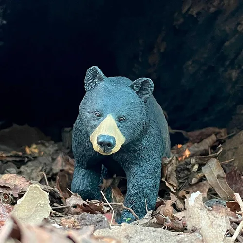 Vista 4 de Safari Ltd. Figura de juguete de oso negro de América del Norte, figura detallada de modelo de plástico de 7.4 pulgadas, divertido juguete educativo
