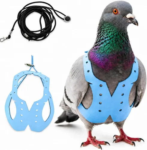 Vista 33 de Juego de arnés ajustable y correa para pájaros pequeños, apto para periquitos, conures, cacatúas, mejillas verdes, loros cuáqueros (verde, XS) 6350-6