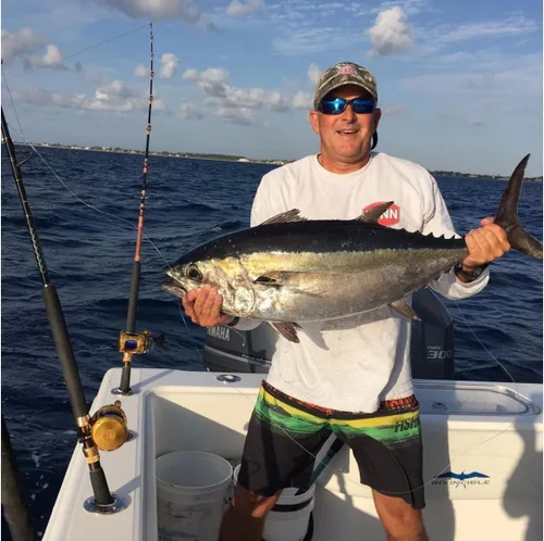 Vista 6 de Penn International VI - Carretes de pesca convencionales (todos los modelos y tamaños)