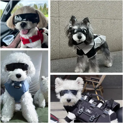 Vista 2 de ENJOYING Lentes de sol para perros de razas pequeñas, antirayos UV para perros pequeños, resistentes al viento, protección de ojos de perro