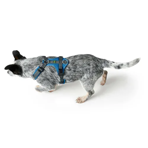 Vista 4 de Arnés para Perro Hunter Maldon Up Azul 50-84 cm