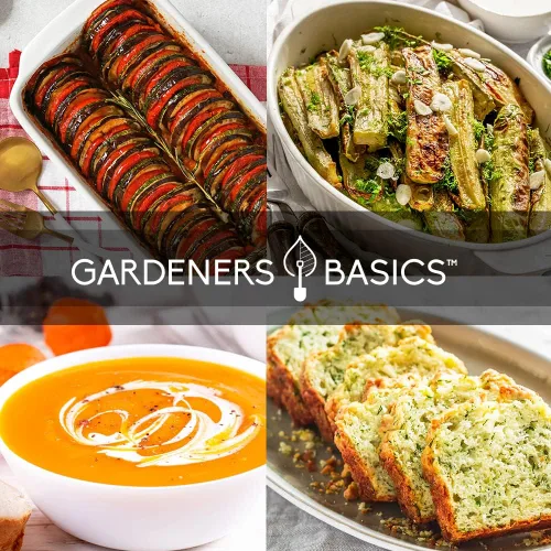 Vista 4 de Gardeners Basics Semillas de calabaza y calabaza para plantar – 5 variedades de calabaza Luffa, Hubbard, mini calabaza, calabacín, Crookneck, ideal
