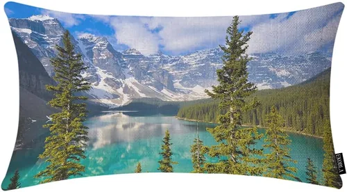 Vista 22 de EKOBLA Fundas de almohada decorativas Cactus estilo granja para sofá, cama, almohadas lumbares rectangulares oblongas de 12x20 pulgadas, con plantas
