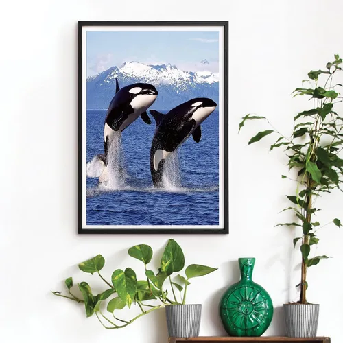 Vista 3 de DVWIVGY Pintura con diamantes, ballena asesina, orca, azul, océano, animales, pintura de diamantes por números, arte de gemas para decoración