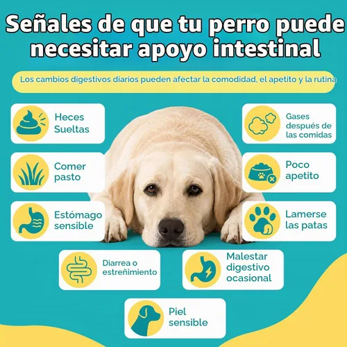 Vista 3 de Woyamay Probióticos para perros, probióticos masticables para perros, apoyo intestinal y digestivo