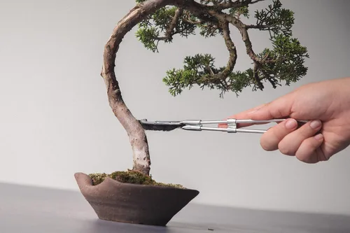 Vista 5 de Wazakura Cepillo De Cabeza Curva Bonsai Hecho En Japón 9-1/4inch(235mm) - Negro