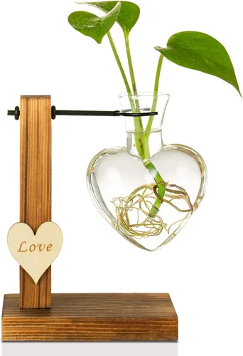 Vista 6 de Kingbuy Florero de Bulbo de Vidrio Macetero Terrario de Plantas de Escritorio con Soporte Retro de Madera Sólida para Propagación Hidropónica