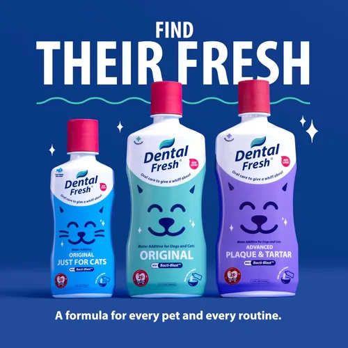 Vista 7 de Dental Fresh Aditivo de agua para perros y gatos, dientes limpios y aliento fresco, cuidado bucal diario de mascotas, solo añádelo al agua, sin