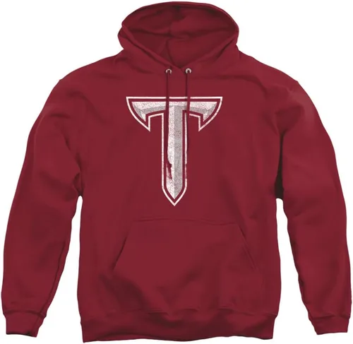 Vista 156 de Distressed College Primary Logo Adult Pullover Hoodie Collection 1 Universidad Estatal de Albany
