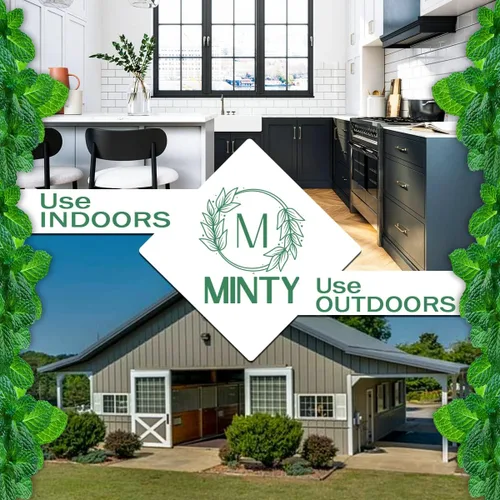 Vista 7 de Minty Repelente de roedores, espray de aceite de menta natural al 5% para ratones, ratas, ardillas y roedores, en interiores y exteriores, uso