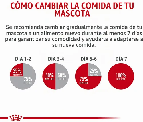 Vista 9 de ROYAL CANIN Cocker Spaniel Alimento seco para perros adultos, bolsa de 6