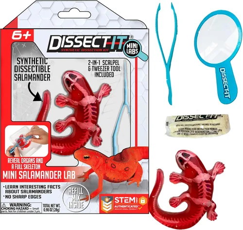Vista 14 de Discover-It Kit de disección para niños, kit de laboratorio científico de ámbar sintético para aprender sobre insectos, juguetes científicos