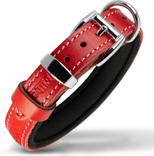 Vista 16 de Filbert Collar de cuero para perro, collar de cuero genuino para perros pequeños, estampado de patas en relieve con hebilla, grano completo curtido