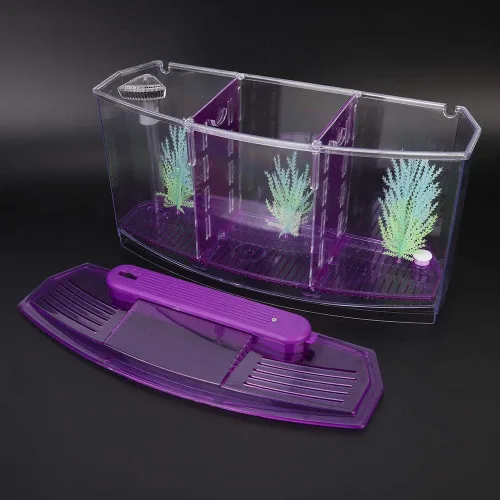 Vista 8 de Acuario pequeño de acrílico de tres áreas, mini pecera, para Betta para peces pequeños (morado)