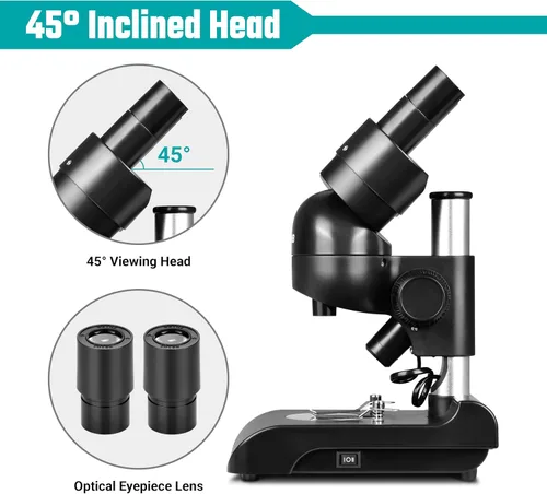 Vista 5 de ESSLNB Microscopio estéreo binocular montado, microscopios, microscopio biológico portátil con oculares WF10x, objetivos 3X, aumento 30X