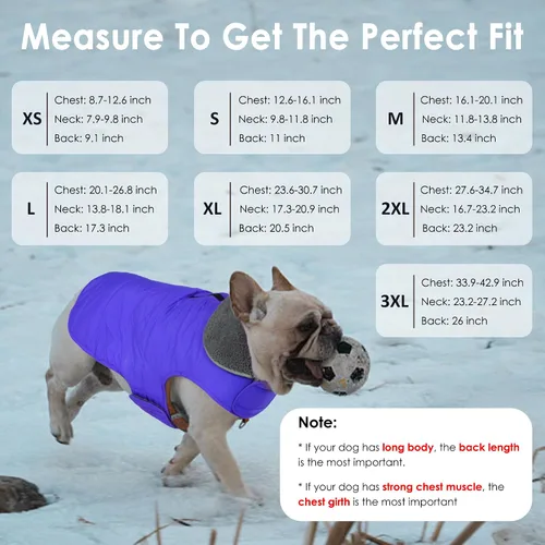 Vista 5 de Abrigo de invierno para perro, chaqueta impermeable para el clima frío, chaleco de perro resistente al viento, ropa cálida para cachorros, suéter
