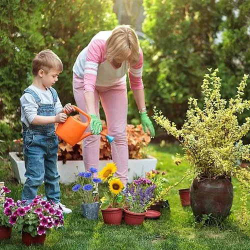 Vista 6 de Meekear Kit de 5 – Creciendo en margarita Shasta, aciano, girasol, zinnia, lavanda para interiores y exteriores, jardín, regalos de bricolaje