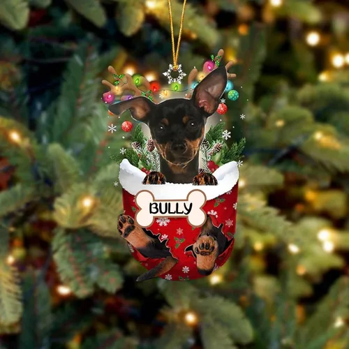 Vista 145 de IZI POD Affenpinscher Adorno de Navidad personalizado para perro, adorno de bolsillo de nieve para perro para árbol de Navidad, adorno acrílico