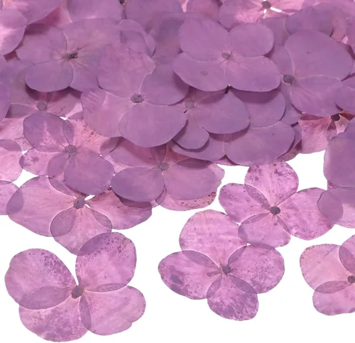 Vista 11 de M METERXITY Paquete de 60 flores secas prensadas para resina, morado y Morado y blanco
