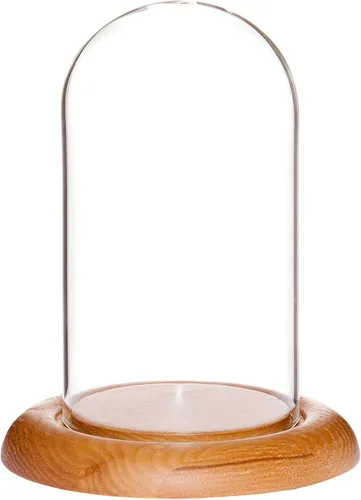 Vista 10 de Plymor Cúpula de exhibición de cristal de 3 "x 5" (base de madera MDF negra)