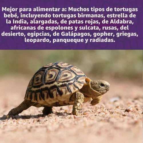 Vista 4 de Mazuri Alimento de tortuga juvenil para tortugas bebé Bolsa de 8 onzas (8 onzas)