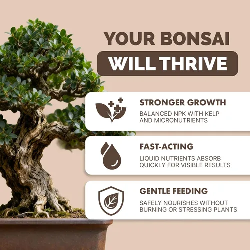 Vista 2 de Fertilizante para Bonsái, alimento líquido para plantas para un crecimiento saludable y raíces fuertes en todos los árboles de bonsái, de TPS Plant