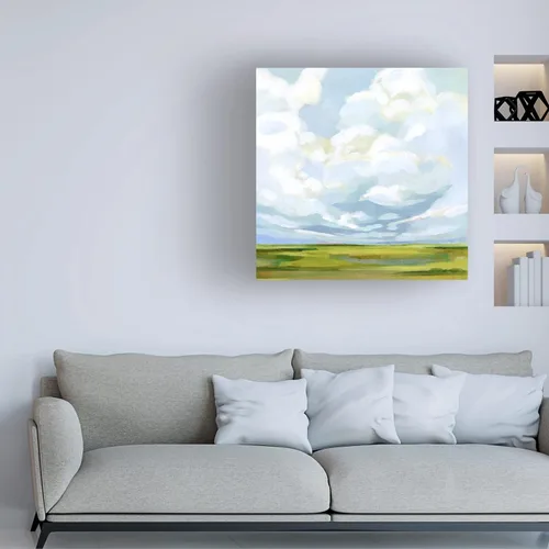 Vista 3 de Trademark Fine Art Arte en lienzo 'Lucid Skies III' de Victoria Borges