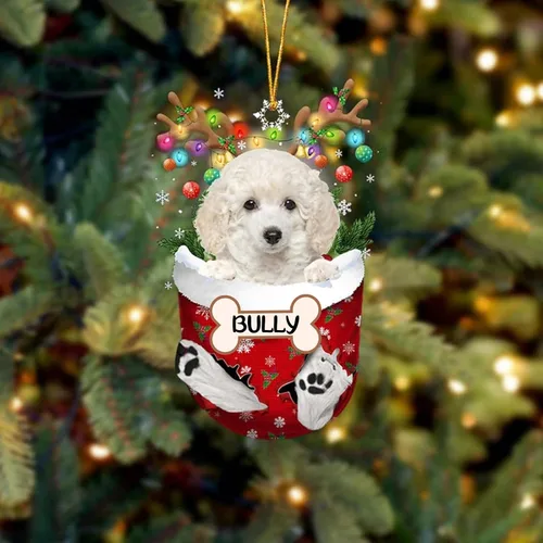 Vista 29 de IZI POD Affenpinscher Adorno de Navidad personalizado para perro, adorno de bolsillo de nieve para perro para árbol de Navidad, adorno acrílico
