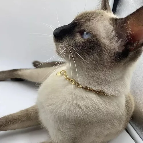 Vista 7 de HOWWFALY Collar para Perro y Cadena Collar para Gato de Acero Inoxidable Ajustable Collar en Forma de Corazón de Oro 18K para Mascotas Pequeñas