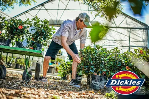 Vista 4 de Dickies Mens Dri-tech Moisture Control No Show Socks 6 12 Pairs