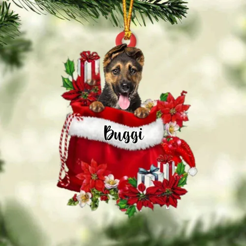 Vista 127 de Perro Akita Inu personalizado en bolsa de regalo, adorno de Navidad, nombre personalizado, regalo para amantes de los perros, familia, Navidad