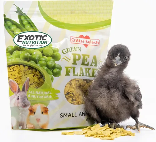 Vista 7 de Exotic Nutrition Copos de guisantes verdes (1 libra) – Golosina de verduras secas naturales saludables – para conejos, cobayas, hámsters