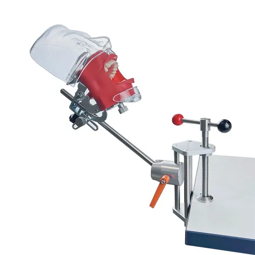 Vista 2 de Modelo de cabeza simulador dental Manikin Phantom con soporte de banco para dentista enseñanza ajuste de 360 grados
