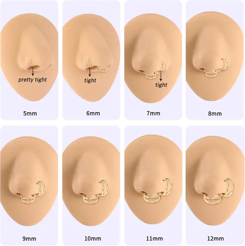Vista 4 de PEAKLINK 316L Anillo Clicker de Segmento con Bisagra Sin Costuras Aro para Nariz Septum Hélix Conch Joyería de Piercing 5PCS Aretes de Aro Daith