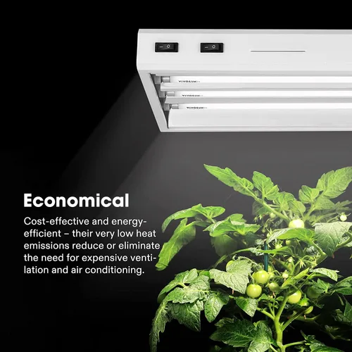Vista 3 de VIVOSUN Bombillas T5 de crecimiento de 2 pies y 22 pulgadas, 24 W, 6500 K, tubos fluorescentes HO, bombilla blanca fría T5 para lámparas T5 de 22
