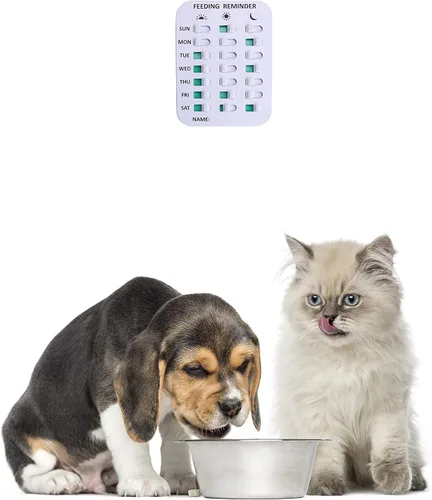Vista 6 de Recordatorio de alimentación de mascotas, aplicación adhesiva magnética o de doble cara, recordatorio con herramientas indicadoras diarias