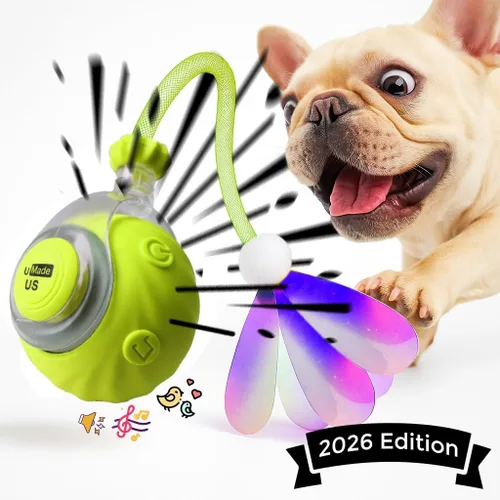 Vista 2 de Juguetes para gatos de interior – Juguete interactivo automático para gatitos con cola de bola rápida como estimulación mental de mascotas – Gatitos