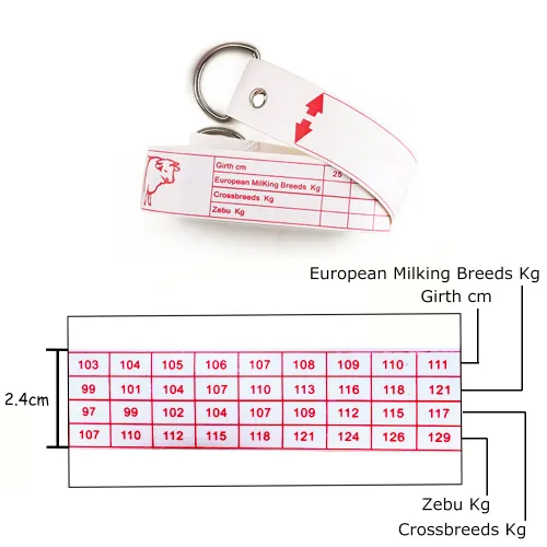 Vista 3 de WIN TAPE Cinta métrica profesional de peso (KG) y altura (CM)
