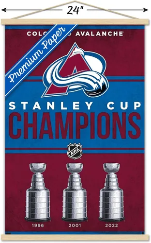 Vista 3 de Trends International NHL Colorado Avalanche - Póster de pared con marco magnético