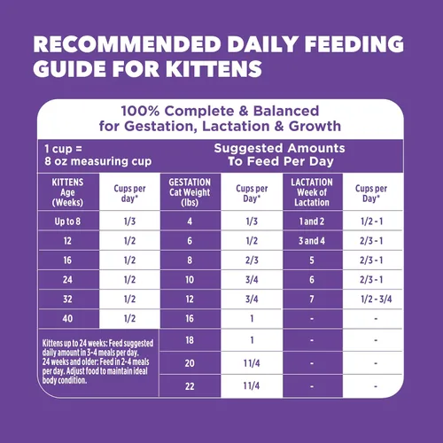 Vista 9 de IAMS Proactive Health comida seca para gatitos