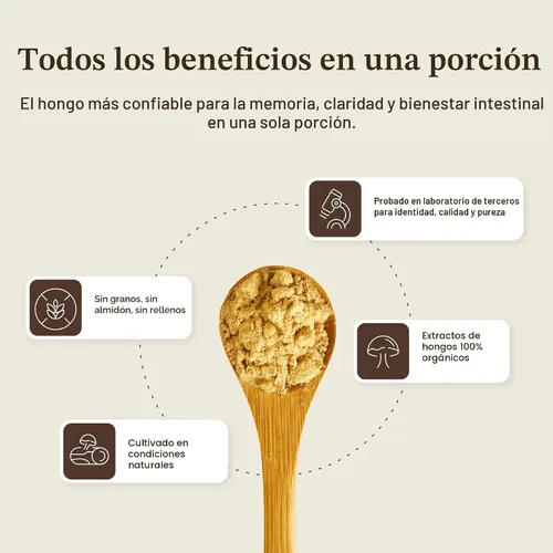 Vista 8 de Lions Mane Mushroom Cognition (120 cápsulas) Cápsulas de extracto de hongo de melena de león Suplemento para el cerebro, vitaminas cerebrales
