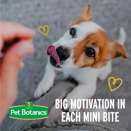 Vista 6 de Pet Botanics Training Rewards - Mini golosinas para perros, tocino, 4 onzas Ayuda en el entrenamiento, BotaniFits Botanical Blend, solo 1.5