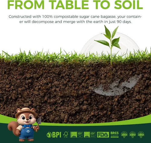 Vista 7 de Platos 100% compostables, 125 platos desechables de alta resistencia de 10 pulgadas hechos de bagazo, ecológicos y sostenibles