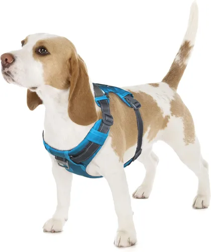 Vista 14 de Outward Hound Boulder Adventure - Arnés ajustable para perro con bolsillos, turquesa, mediano