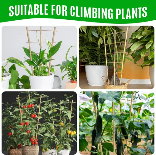 Vista 4 de SWANGSA Paquete de 6 enrejados de bambú de 24 pulgadas para plantas trepadoras, enrejado de bambú en forma de abanico, pepino, tomate, enrejado