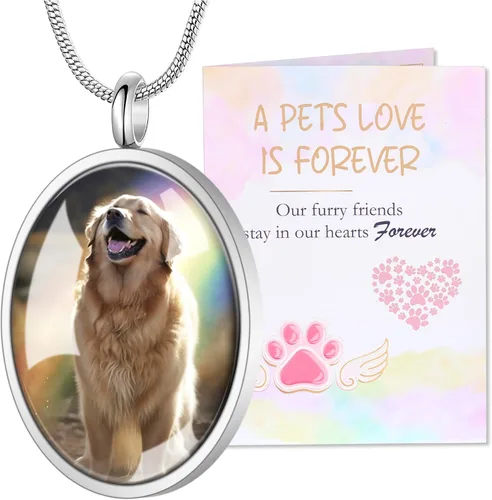 Vista 7 de Fanery Sue Collar para cenizas de mascotas, joyería de cremación, imagen personalizada y cita, regalos conmemorativos por pérdida de perro/gato