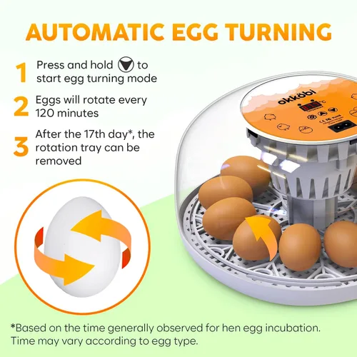 Vista 5 de Okkobi M12 - Incubadora de huevos con girador automático y control de humedad, 12/24 huevos, vista de 360°, fácil de usar y limpiar, Incubadora