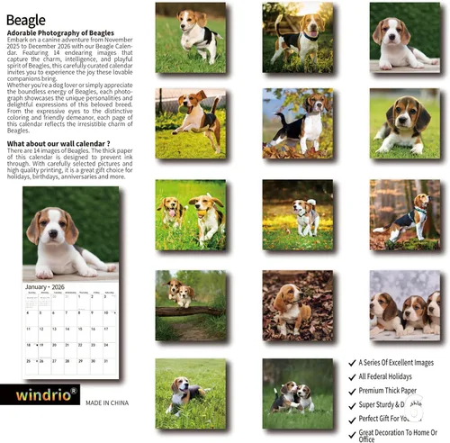 Vista 2 de Calendario de pared 2026, calendario 2026, noviembre de 2025 a diciembre de 2026, calendario de pared Beagles, 12 x 24 pulgadas abierto, página